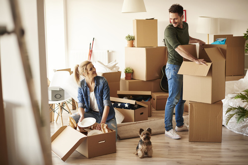5 claves para sobrevivir a una mudanza 5 claves para sobrevivir a una mudanza