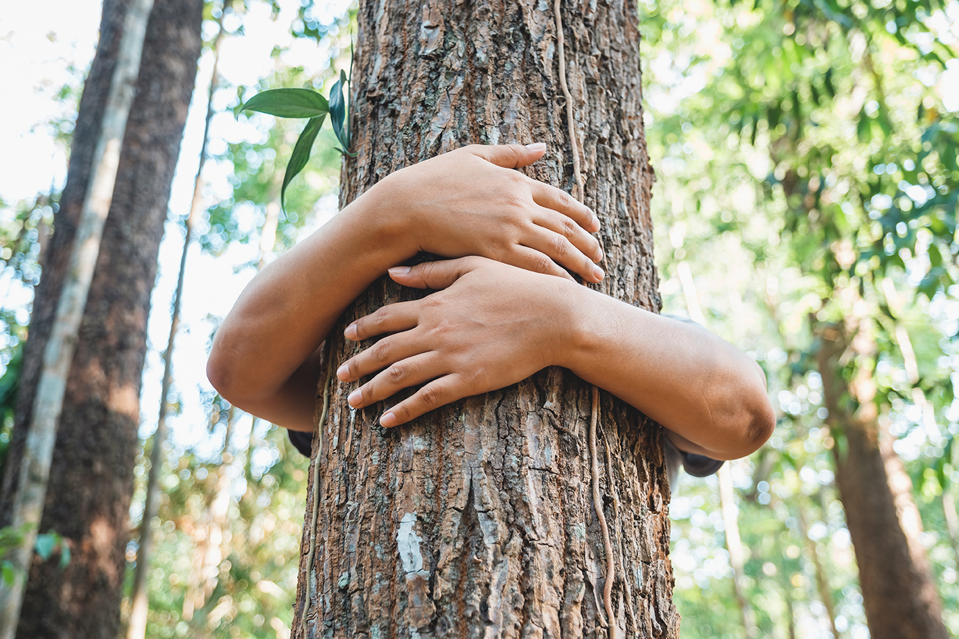 financiación de proyectos con impacto medioambiental