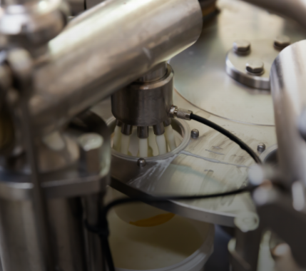 5e06b0f4-1cfe-b164-e88c-7e904e26f41d?t=1769588631241