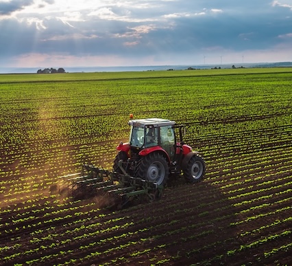 49b9c8d8-b589-dbbe-a512-2073fe4bdd48?t=1769588399660