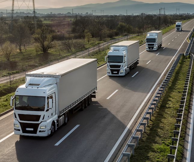 65c913a1-9ef2-2d00-568a-ff0ecb5ec801?t=1769543496694