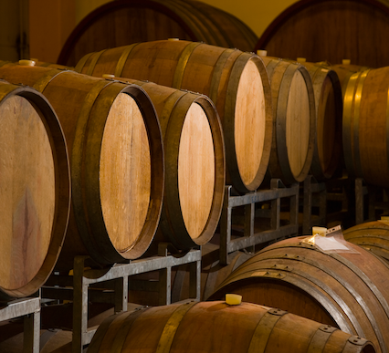 2de9f252-fe02-2bd5-5171-17604ffde623?t=1769588559367