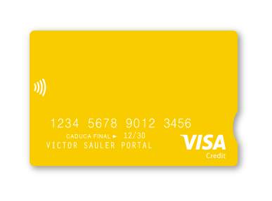 Visa Business Electron