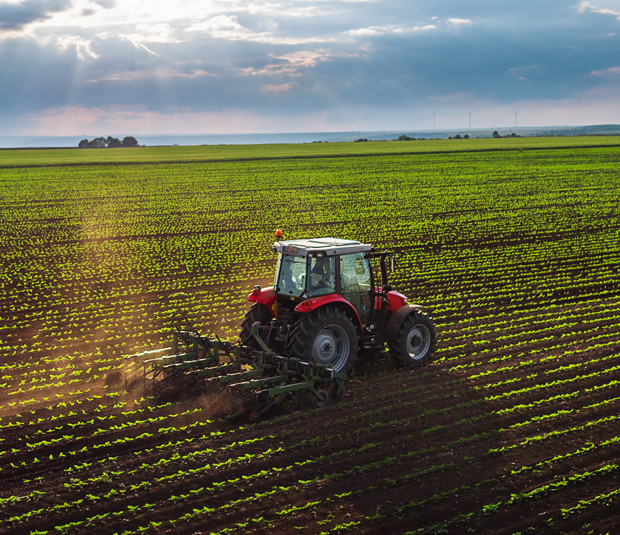 Campo, maquinaria agrícola