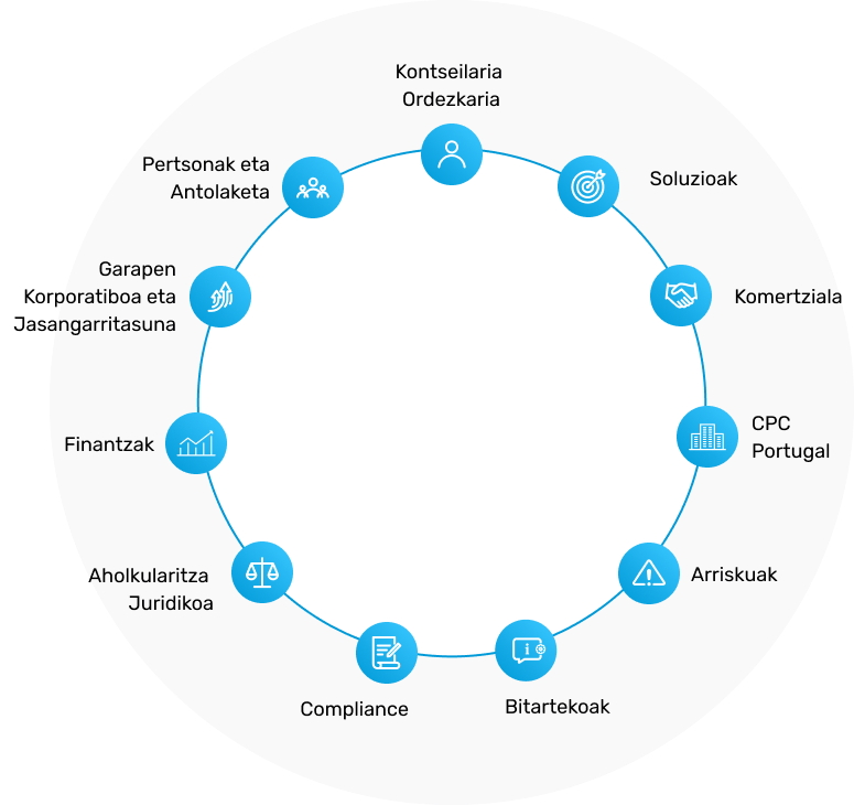 Antolaketa-egituraren diagrama zirkularrak barne du hau: Kontseilari ordezkaria, Soluzioak, Komertziala, Portugal, Arriskuak, Bitartekoak, Compliance, Aholkularitza Juridikoa, Finantzak, Garapen Korporatiboa eta Iraunkortasuna, Pertsonak eta Antolaketa.